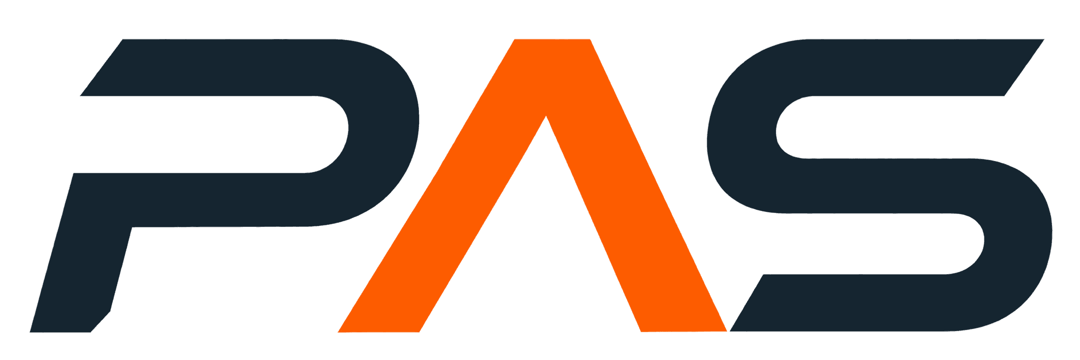 PAS — Pro Anchor Solutions